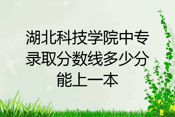 湖北科技学院中专录取分数线多少分能上一本