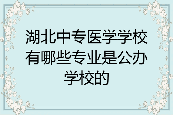 湖北中专医学学校有哪些专业是公办学校的