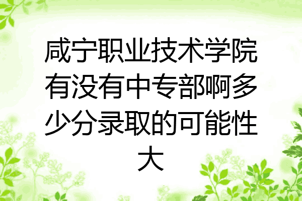 咸宁职业技术学院有没有中专部啊多少分录取的可能性大