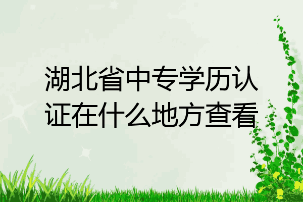 湖北省中专学历认证在什么地方查看