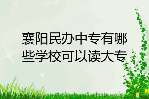 襄阳民办中专有哪些学校可以读大专