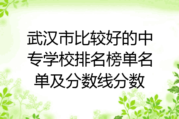 武汉市比较好的中专学校排名榜单名单及分数线分数