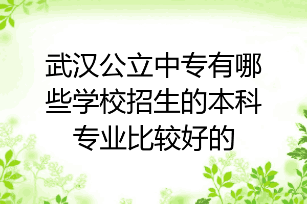 武汉公立中专有哪些学校招生的本科专业比较好的