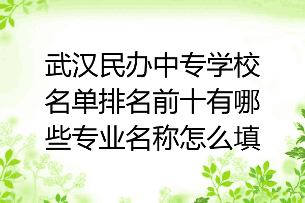 武汉民办中专学校名单排名前十有哪些专业名称怎么填