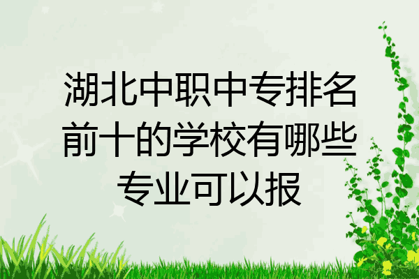 湖北中职中专排名前十的学校有哪些专业可以报