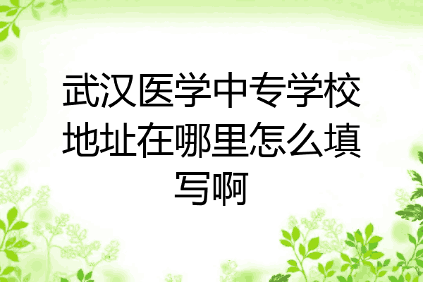武汉医学中专学校地址在哪里怎么填写啊