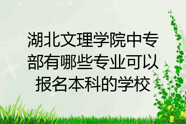 湖北文理学院中专部有哪些专业可以报名本科的学校