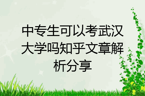 中专生可以考武汉大学吗知乎文章解析分享