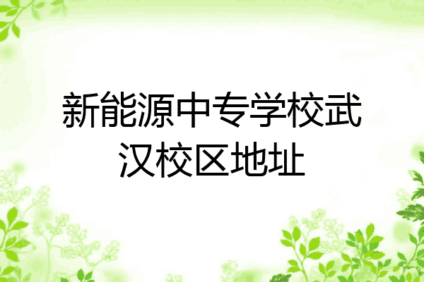 新能源中专学校武汉校区地址