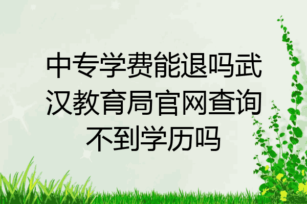 中专学费能退吗武汉教育局官网查询不到学历吗