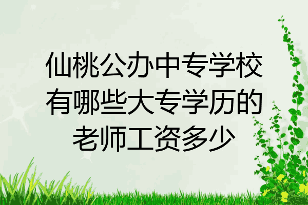 仙桃公办中专学校有哪些大专学历的老师工资多少