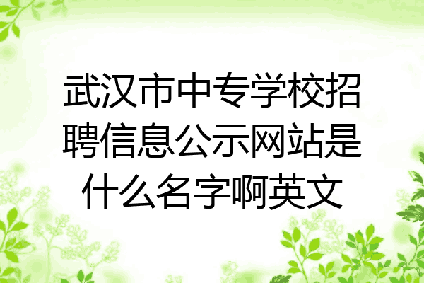 武汉市中专学校招聘信息公示网站是什么名字啊英文