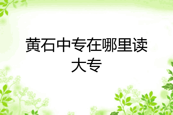 黄石中专在哪里读大专