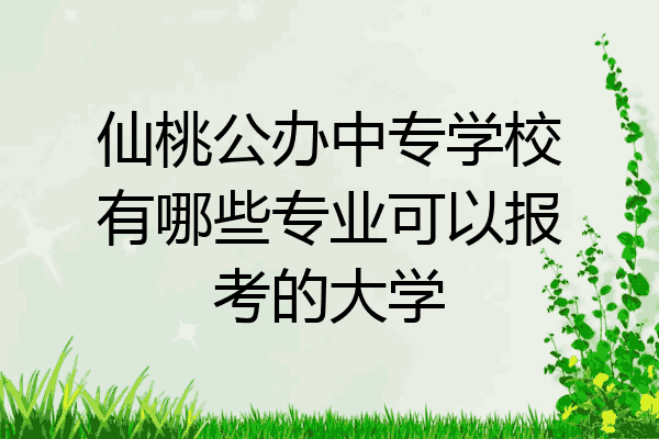 仙桃公办中专学校有哪些专业可以报考的大学