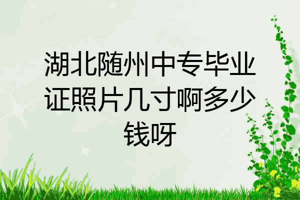 湖北随州中专毕业证照片几寸啊多少钱呀