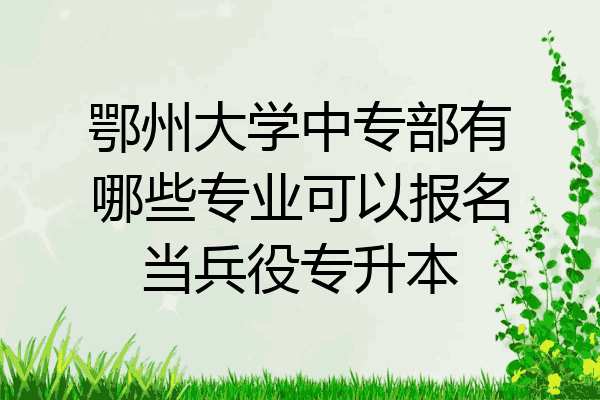 鄂州大学中专部有哪些专业可以报名当兵役专升本