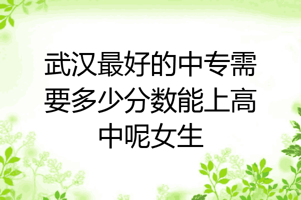 武汉最好的中专需要多少分数能上高中呢女生