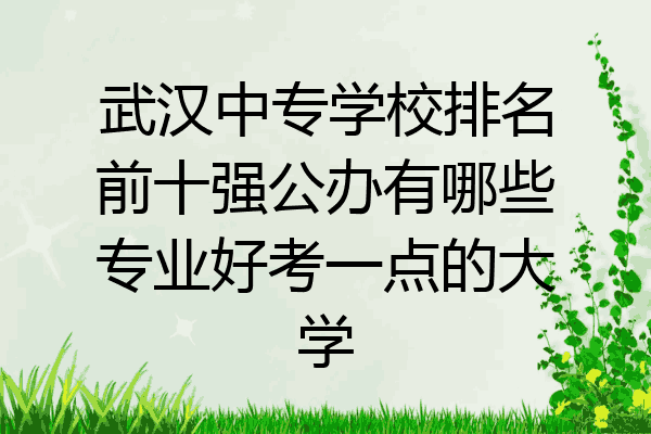 武汉中专学校排名前十强公办有哪些专业好考一点的大学
