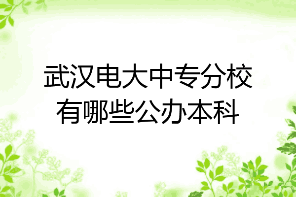 武汉电大中专分校有哪些公办本科