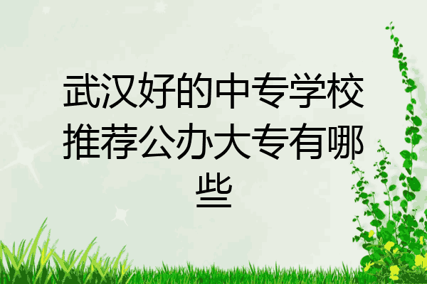 武汉好的中专学校推荐公办大专有哪些