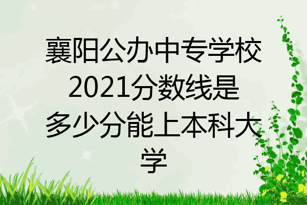 襄阳公办中专学校2021分数线是多少分能上本科大学