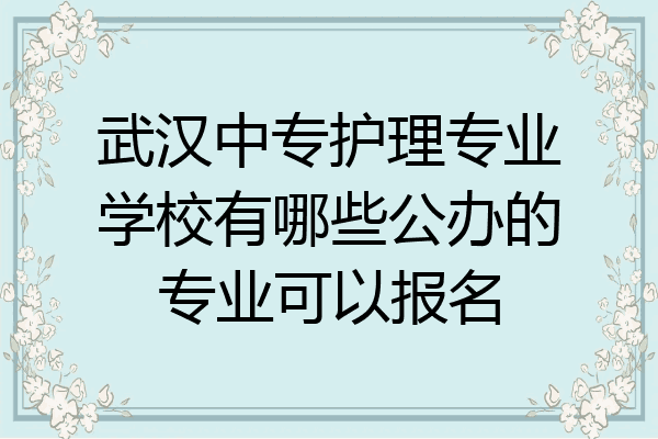 武汉中专护理专业学校有哪些公办的专业可以报名