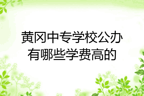 黄冈中专学校公办有哪些学费高的