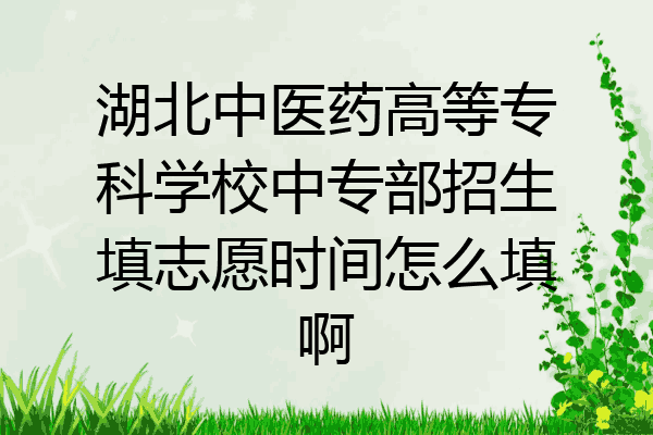 湖北中医药高等专科学校中专部招生填志愿时间怎么填啊
