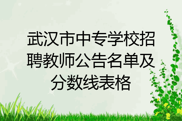 武汉市中专学校招聘教师公告名单及分数线表格