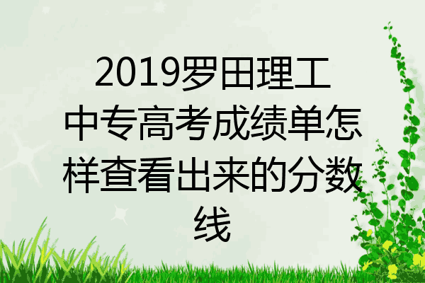 2019罗田理工中专高考成绩单怎样查看出来的分数线