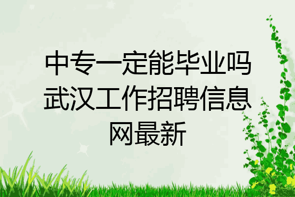 中专一定能毕业吗武汉工作招聘信息网最新