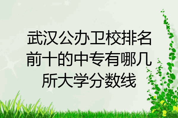 武汉公办卫校排名前十的中专有哪几所大学分数线