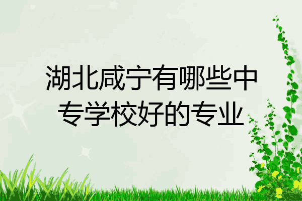 湖北咸宁有哪些中专学校好的专业
