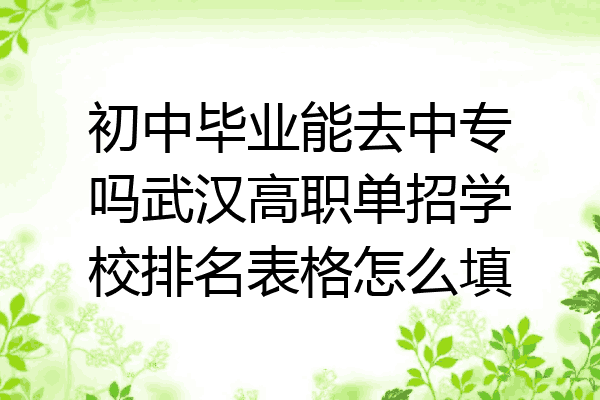 初中毕业能去中专吗武汉高职单招学校排名表格怎么填