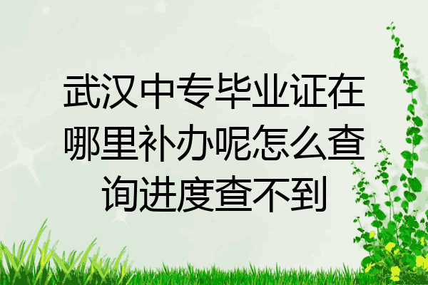 武汉中专毕业证在哪里补办呢怎么查询进度查不到
