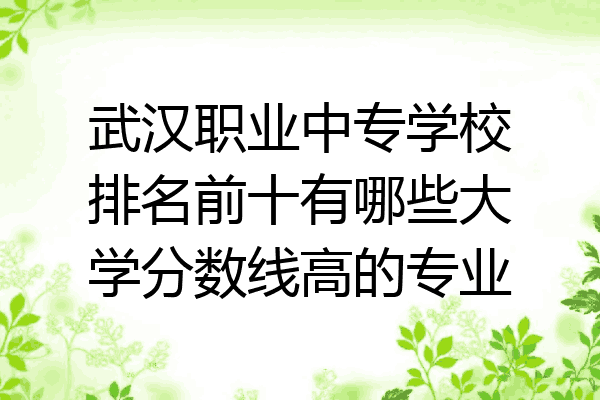 武汉职业中专学校排名前十有哪些大学分数线高的专业