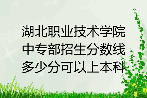 湖北职业技术学院中专部招生分数线多少分可以上本科