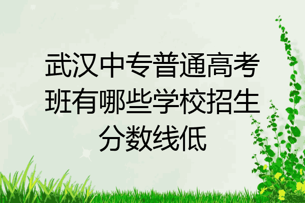 武汉中专普通高考班有哪些学校招生分数线低