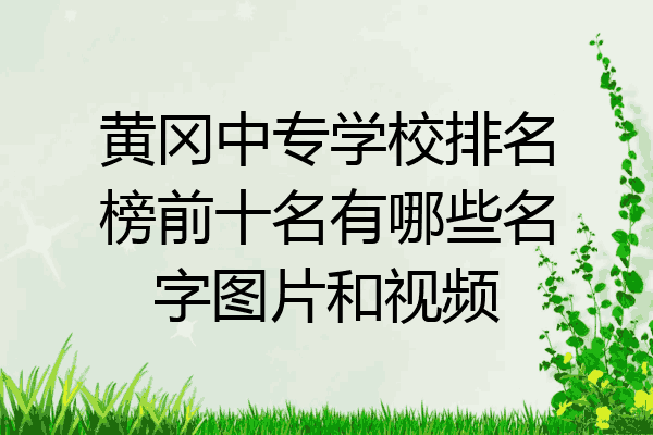 黄冈中专学校排名榜前十名有哪些名字图片和视频