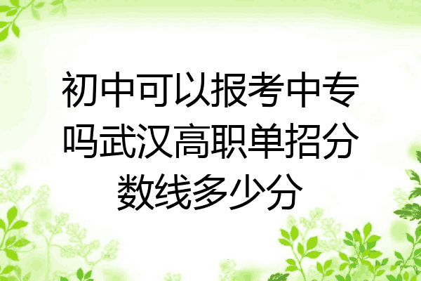 初中可以报考中专吗武汉高职单招分数线多少分