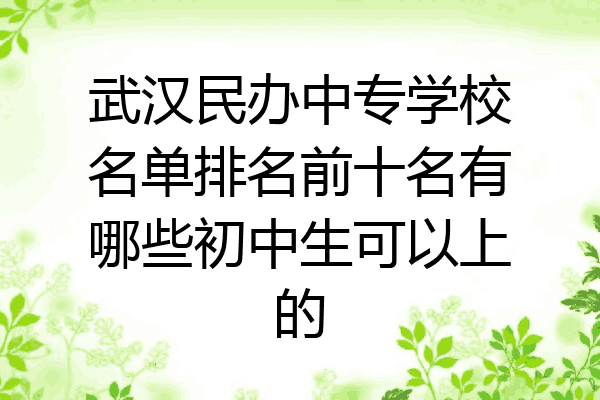 武汉民办中专学校名单排名前十名有哪些初中生可以上的