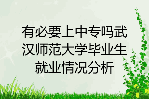 有必要上中专吗武汉师范大学毕业生就业情况分析