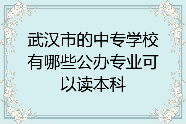 武汉市的中专学校有哪些公办专业可以读本科