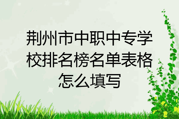 荆州市中职中专学校排名榜名单表格怎么填写