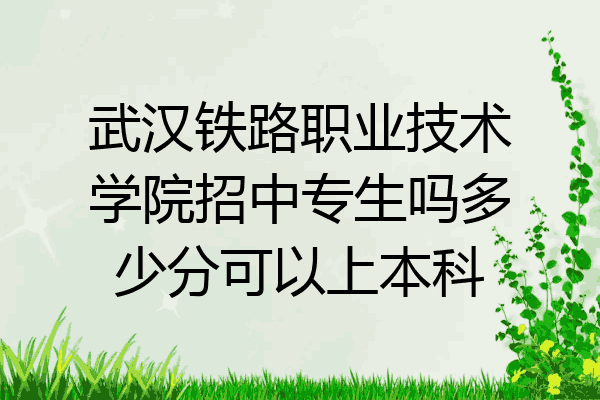 武汉铁路职业技术学院招中专生吗多少分可以上本科