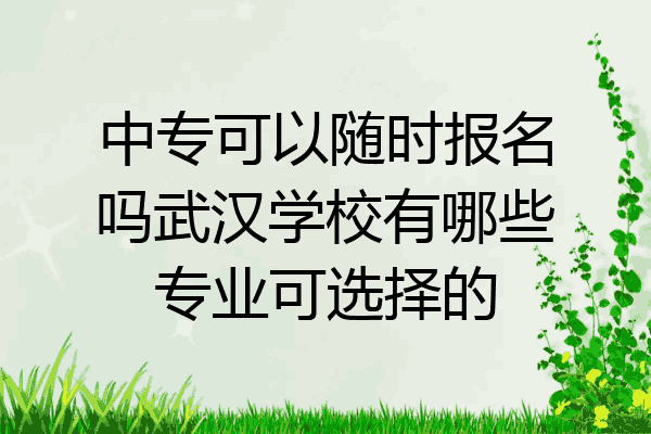 中专可以随时报名吗武汉学校有哪些专业可选择的