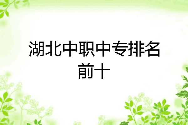 湖北中职中专排名前十