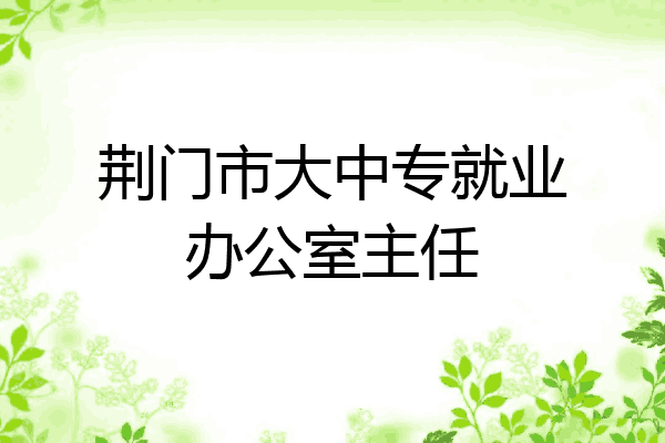 荆门市大中专就业办公室主任