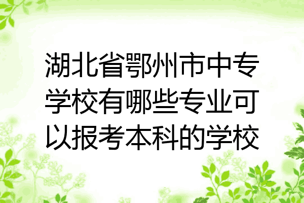 湖北省鄂州市中专学校有哪些专业可以报考本科的学校