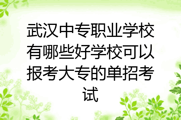 武汉中专职业学校有哪些好学校可以报考大专的单招考试